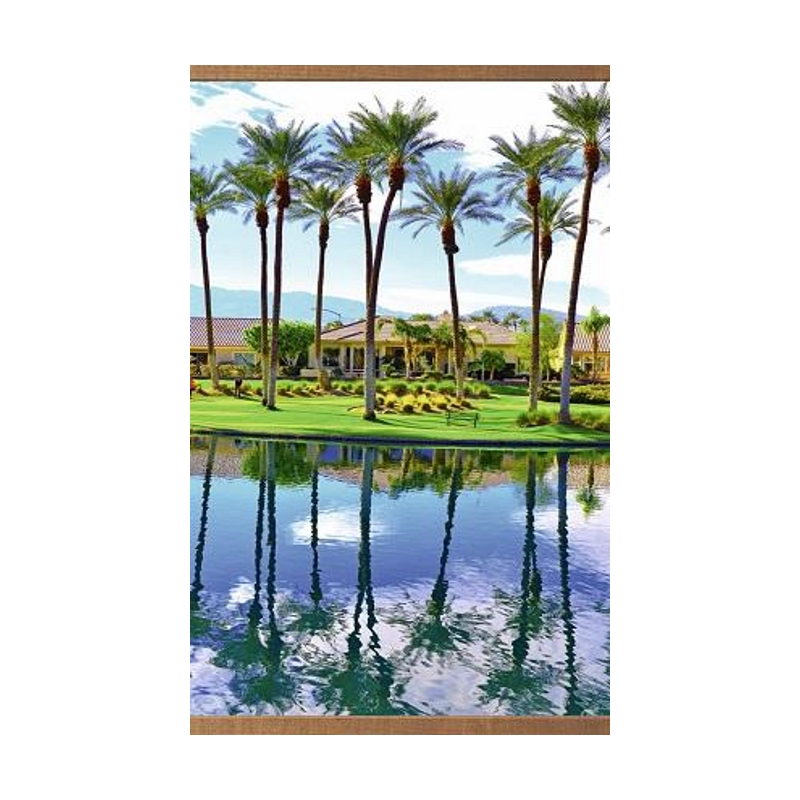 Пленочный обогреватель домашний очаг пальмы